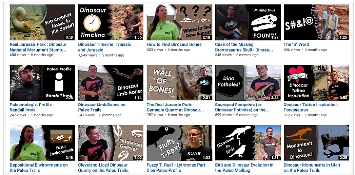 Video Optimization Services for Digital Video Success