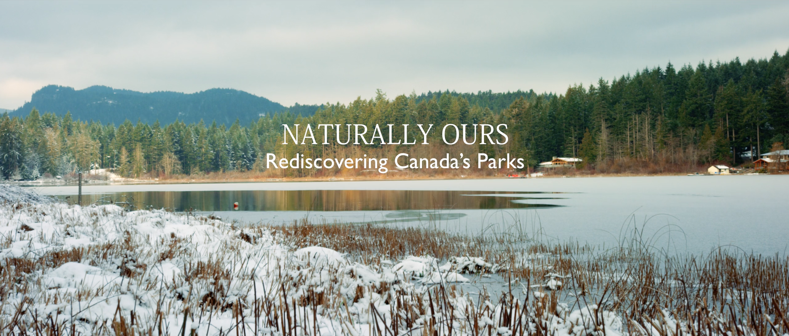 Web Series Case Study for Season 1 of Naturally Ours