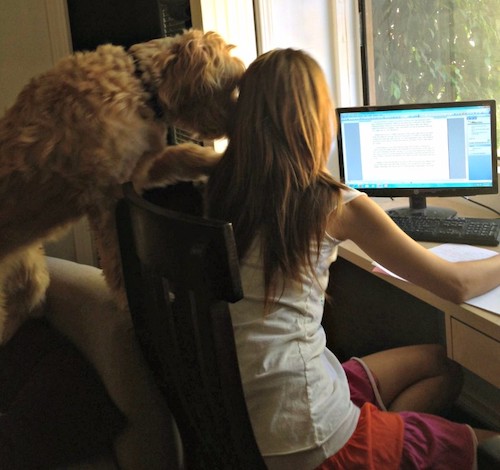 Mango and Lori hard at work in one of our virtual offices.